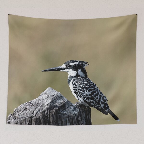 Item preview, Pied Kingfisher designed and sold by Marylou Badeaux.