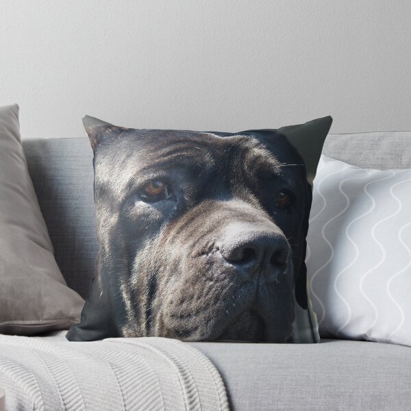 Item preview, Charlie. designed and sold by Ginitwo.