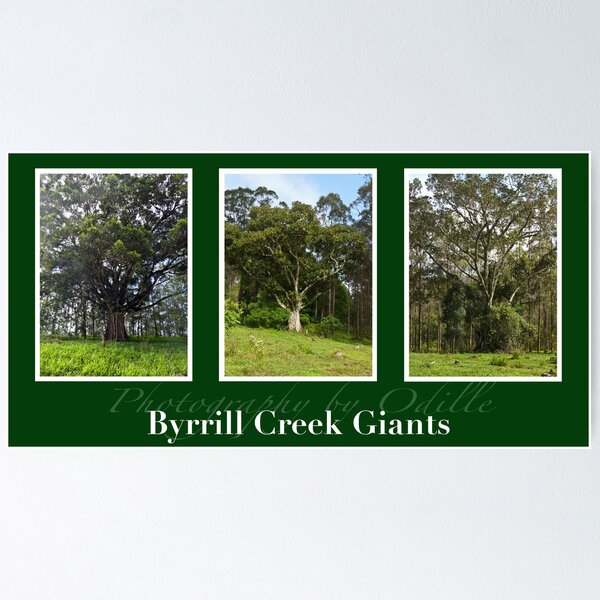 Item preview, Byrrill Creek GIants designed and sold by Odille Esmonde-Morgan.