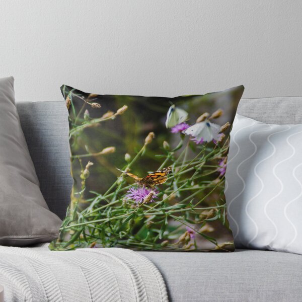 Item preview, Possibly a painted lady designed and sold by SRosuphotos.