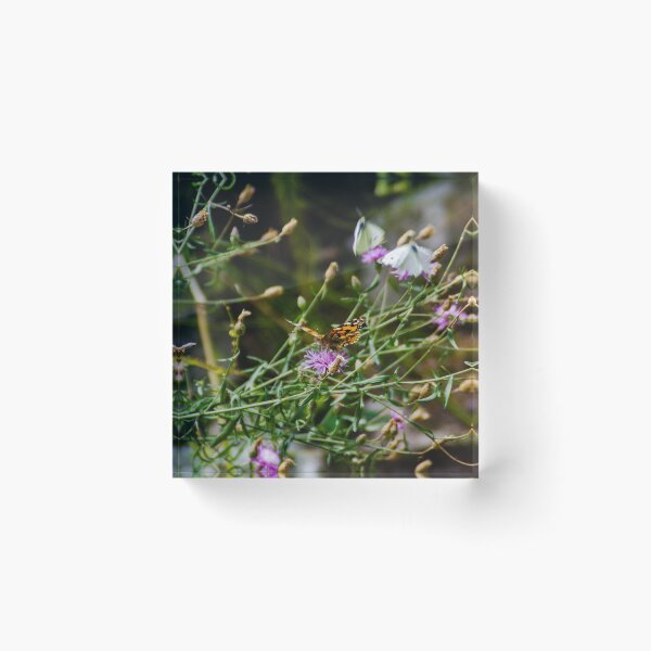 Item preview, Possibly a painted lady designed and sold by SRosuphotos.
