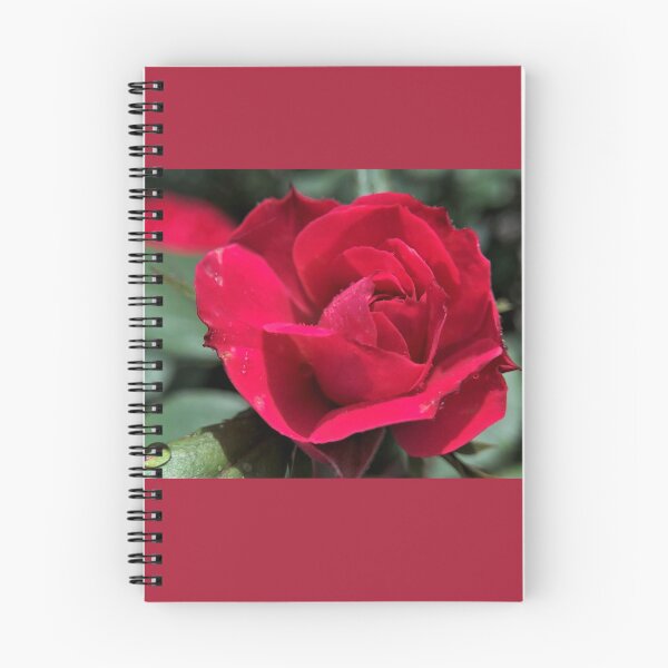 Item preview, Rose Madder Rose designed and sold by JanineEK.