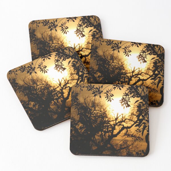 Item preview, Sun Setting with Tree Shadows designed and sold by shellcreek.