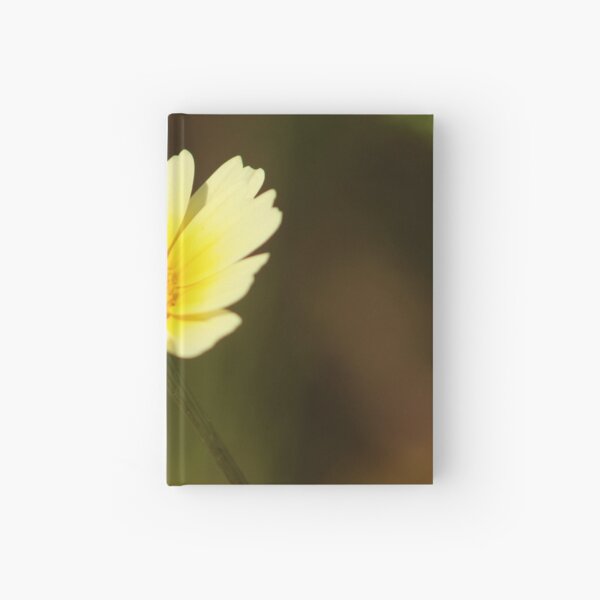 Spring Daisy Hardcover Journal