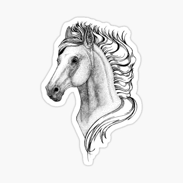 "HORSE DRAWING" Sticker by ReignGFX Redbubble