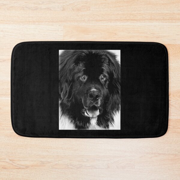 Item preview, Newfoundland Dog Portrait in Black and White designed and sold by Laurie Minor.