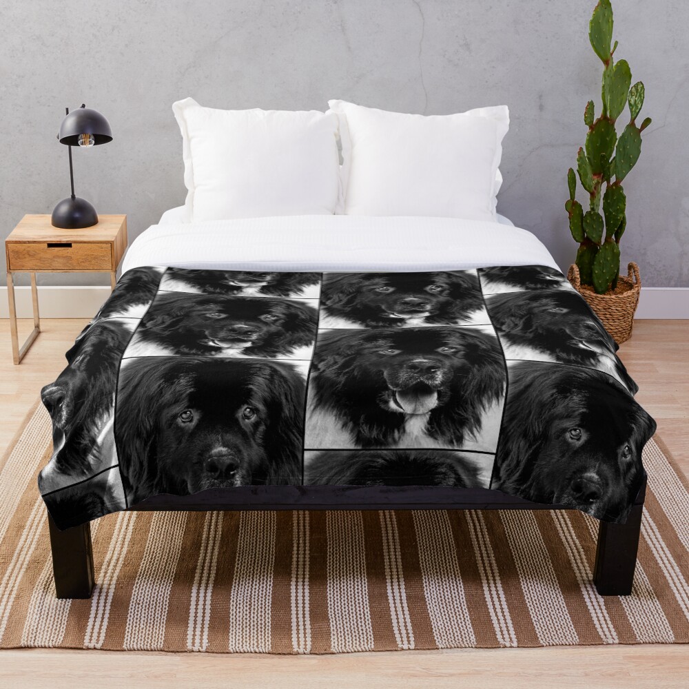 "Newfoundland Dog Portrait in Black and White" Throw Blanket by LaurieMinor Redbubble