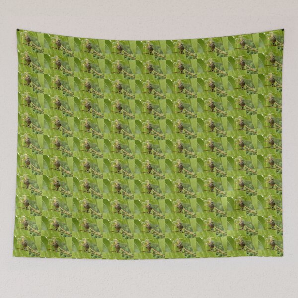 Item preview, Eastern Spinebill designed and sold by Trish Meyer.