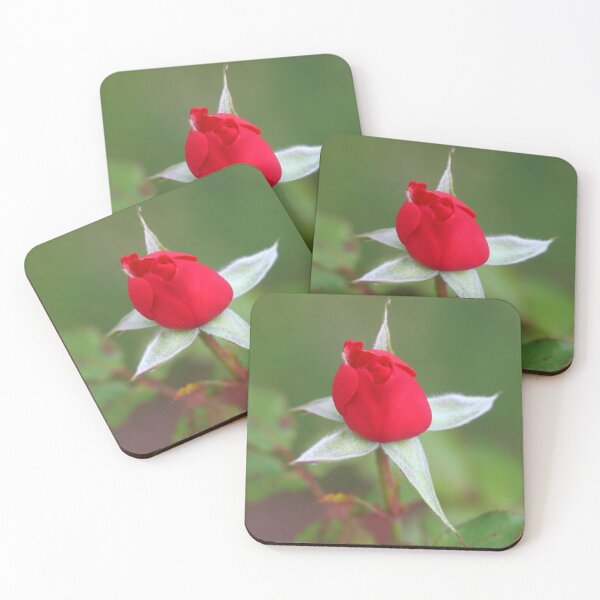 Item preview, Red red rose designed and sold by aligata1970.