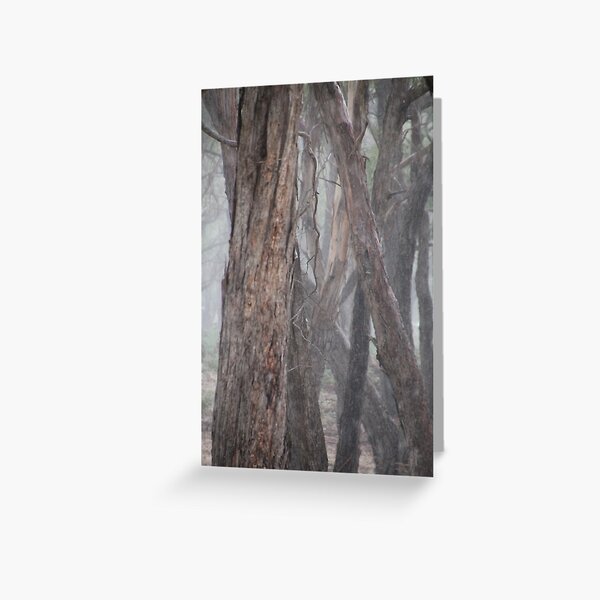 Grey Convergence Greeting Card
