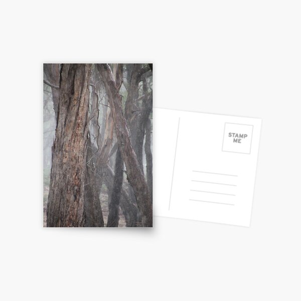 Grey Convergence Postcard