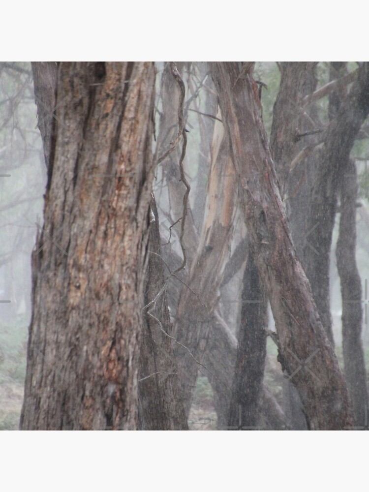 Grey Convergence by LisaGHunter