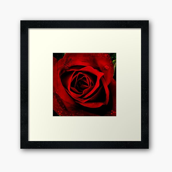 Red, Red Rose Framed Art Print