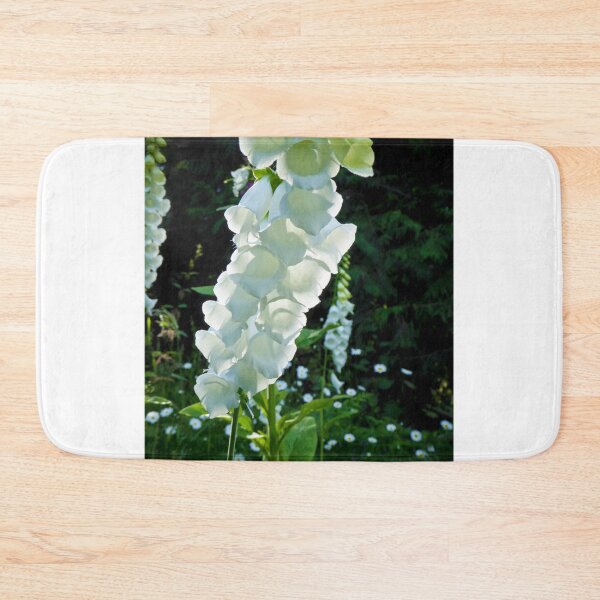 Item preview, BATHED IN LIGHT designed and sold by Elaine Bawden.