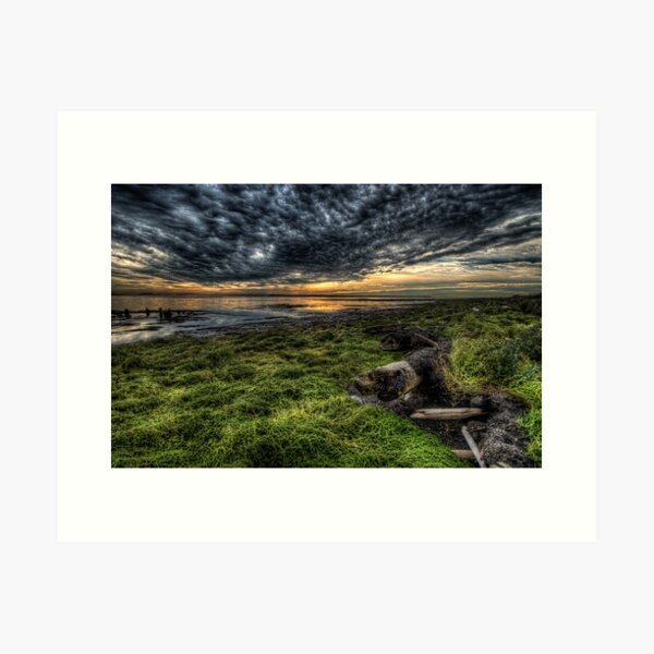 Item preview, Foreshore at Boundary Bay designed and sold by toby snelgrove  IPA.