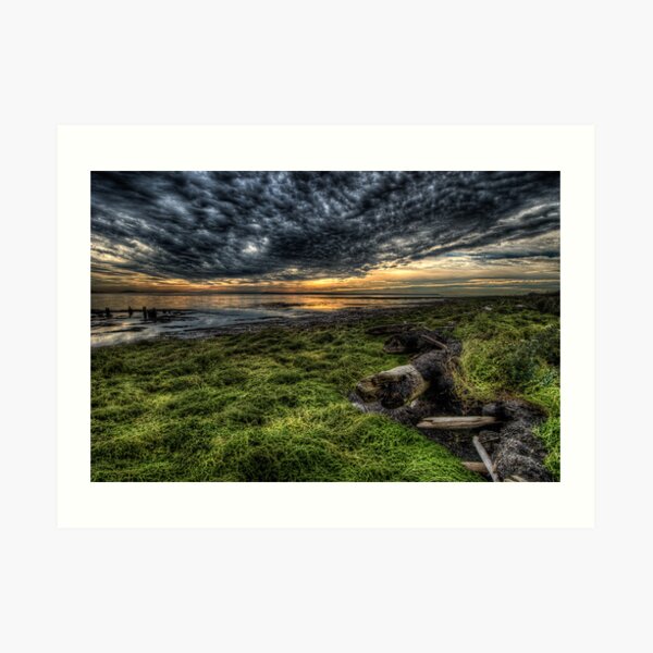 Foreshore at Boundary Bay Art Print