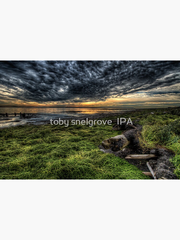 Foreshore at Boundary Bay by tobysnelgrove