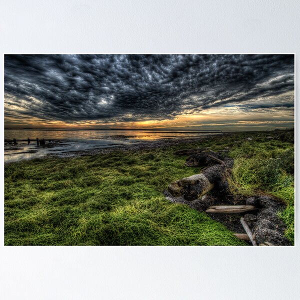 Item preview, Foreshore at Boundary Bay designed and sold by toby snelgrove  IPA.