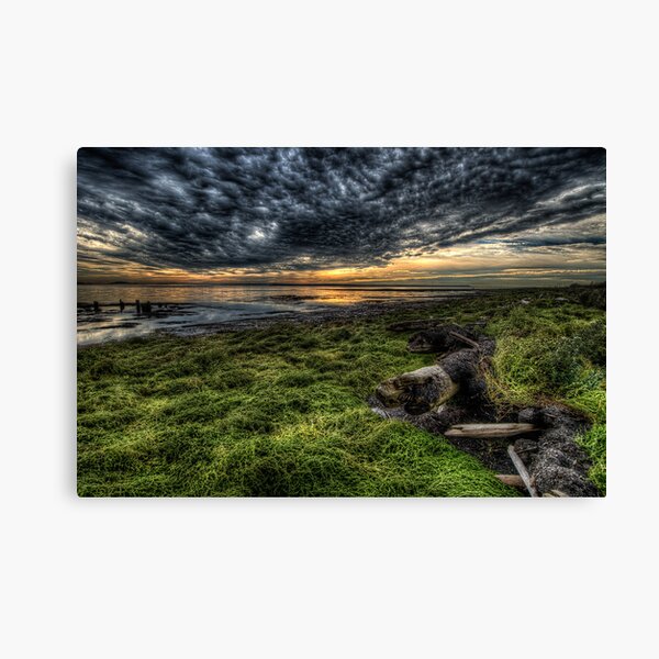 Foreshore at Boundary Bay Canvas Print