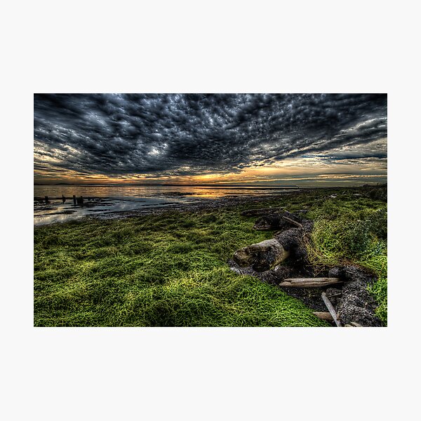 Foreshore at Boundary Bay Photographic Print
