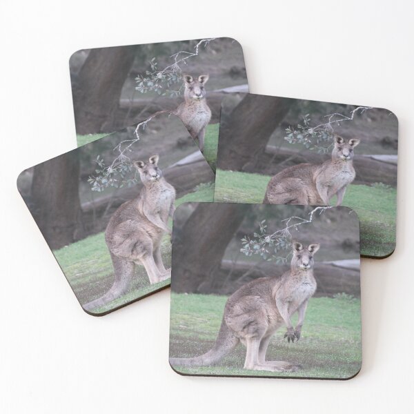 Item preview, Kangaroo at Bathurst, NSW designed and sold by Lozzie Eliza Designs.