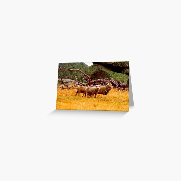 On The Lancefield Tooborac Road Country Victoria Greeting Card