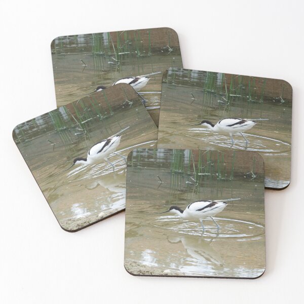 Item preview, Pied Avocet designed and sold by boux.