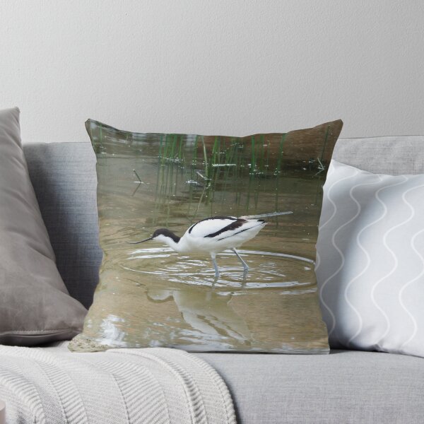 Item preview, Pied Avocet designed and sold by boux.