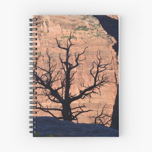Item preview, Silhouette Tree Against Canyon De Chelly Cliff Wall designed and sold by Tdcc2000.