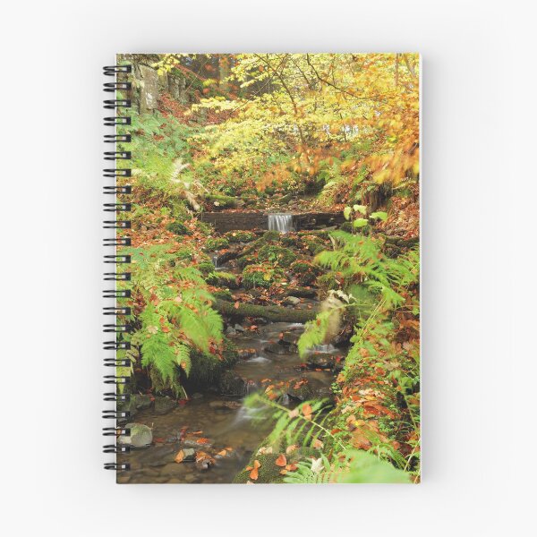 Item preview, AUTUMN LOOK designed and sold by andrewsaxton.
