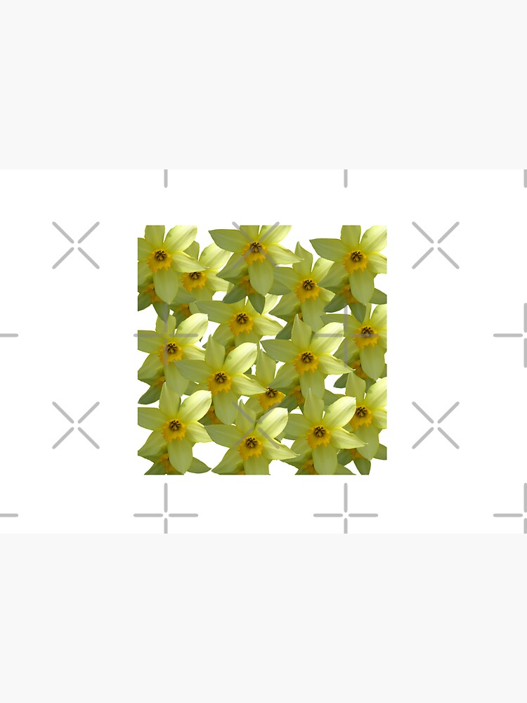 Daffodils Love by Manitarka