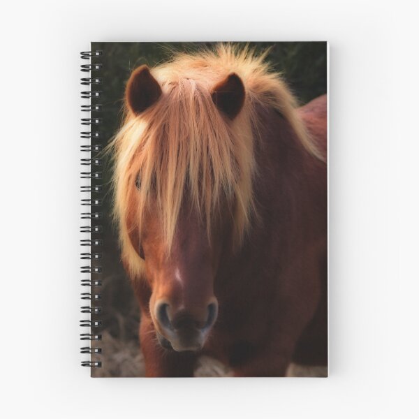 Item preview, Glimpse designed and sold by Robin Simmons.