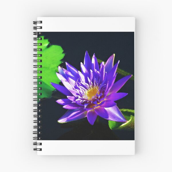 Item preview, Tranquility in the garden designed and sold by Robin Simmons.
