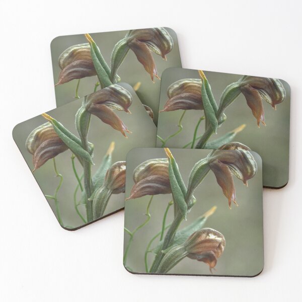 Artikelvorschau, Fühle mein Alter entworfen und verkauft von Ben Loveday.