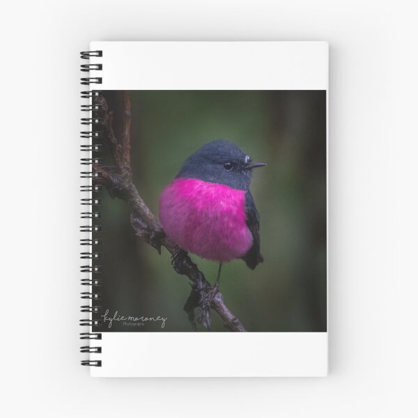 Item preview, Pretty in Pink designed and sold by Kylie Moroney.