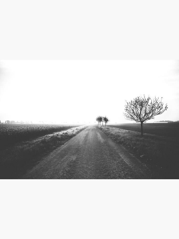 Not in Kansas anymore von MarvinDiehl