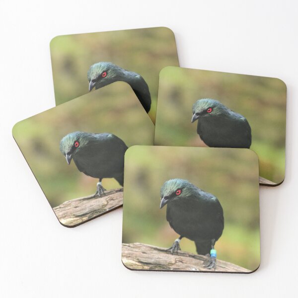 Item preview, Asian Glossy Starling designed and sold by Ladymoose.