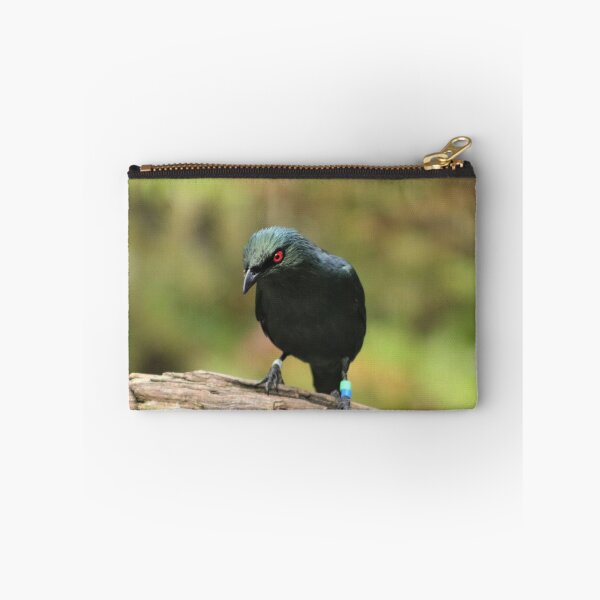 Item preview, Asian Glossy Starling designed and sold by Ladymoose.