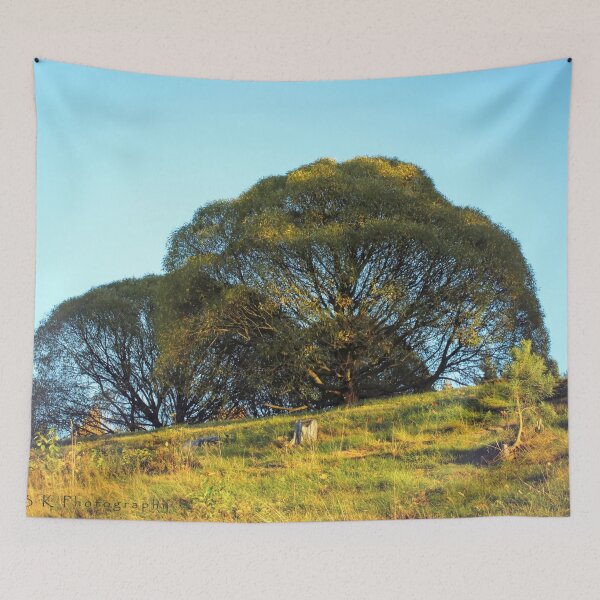 Item preview, Broccoli Trees designed and sold by Barry W  King.