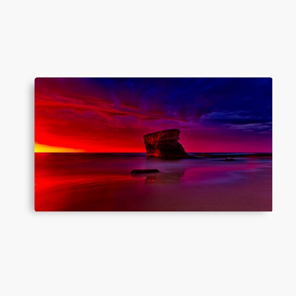 "Transition" Canvas Print