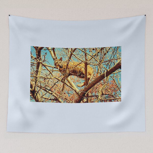 Item preview, "HEAD FOR THE HILLS, I mean... BRANCHES," Photo, for prints and products designed and sold by Bob Hall©.