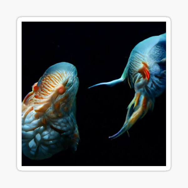 Touched By Oneness from ORGANIKA by Spaced Painter Sticker
