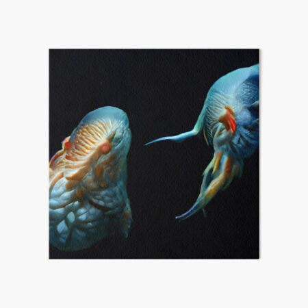 Touched By Oneness from ORGANIKA by Spaced Painter Art Board Print