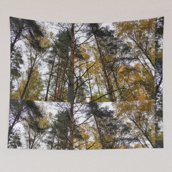 Item preview, Forest Wilderness In Autumn designed and sold by Barry W  King.