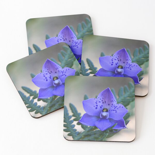 Sun Orchid Coasters (Set of 4)