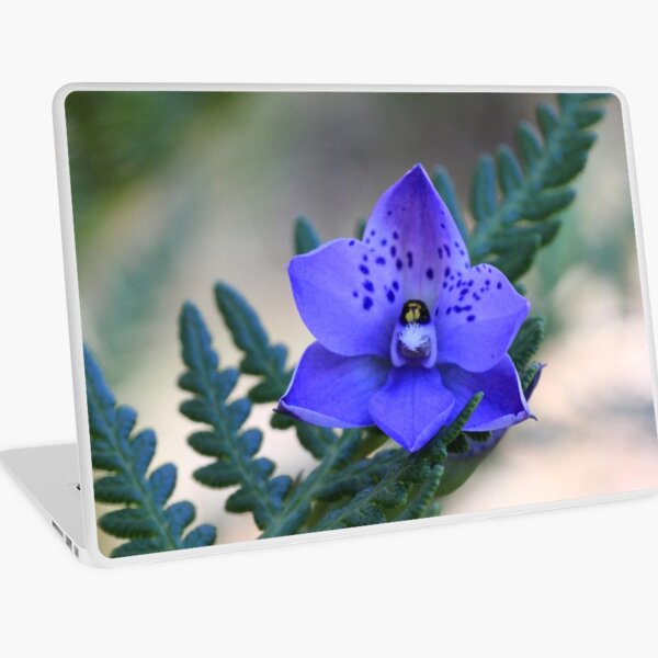Sun Orchid Laptop Skin