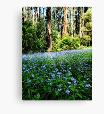 Forget-me-nots Leinwanddruck