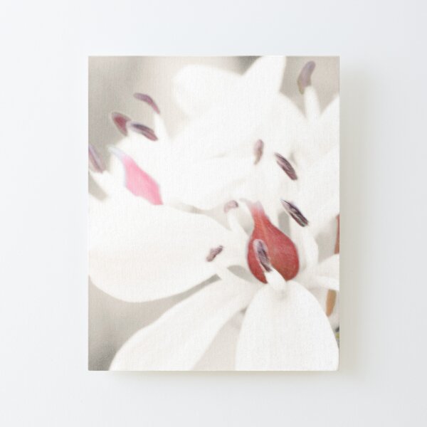 Pastel Milkmaids Canvas Mounted Print