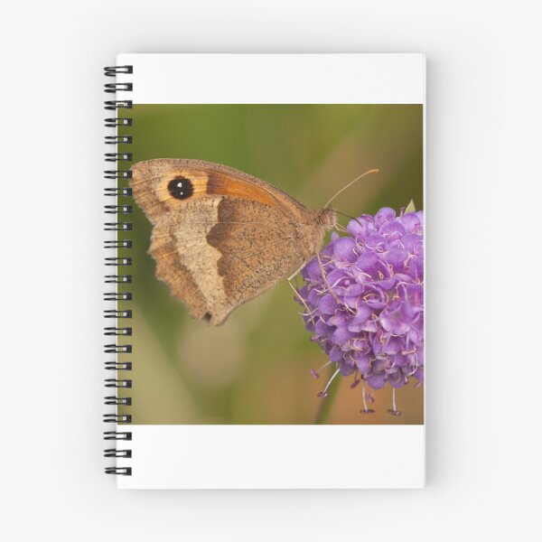Item preview, Meadow Brown Butterfly designed and sold by Jon Lees.