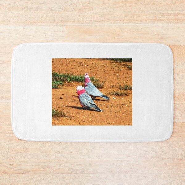Item preview, Two old Galahs living at the Park designed and sold by EdsMum.